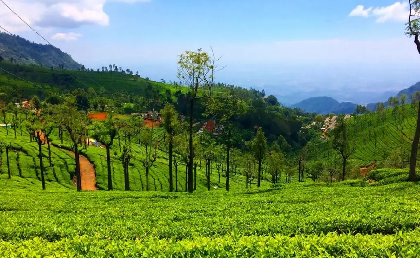 bangalore-mysore-ooty-tour3