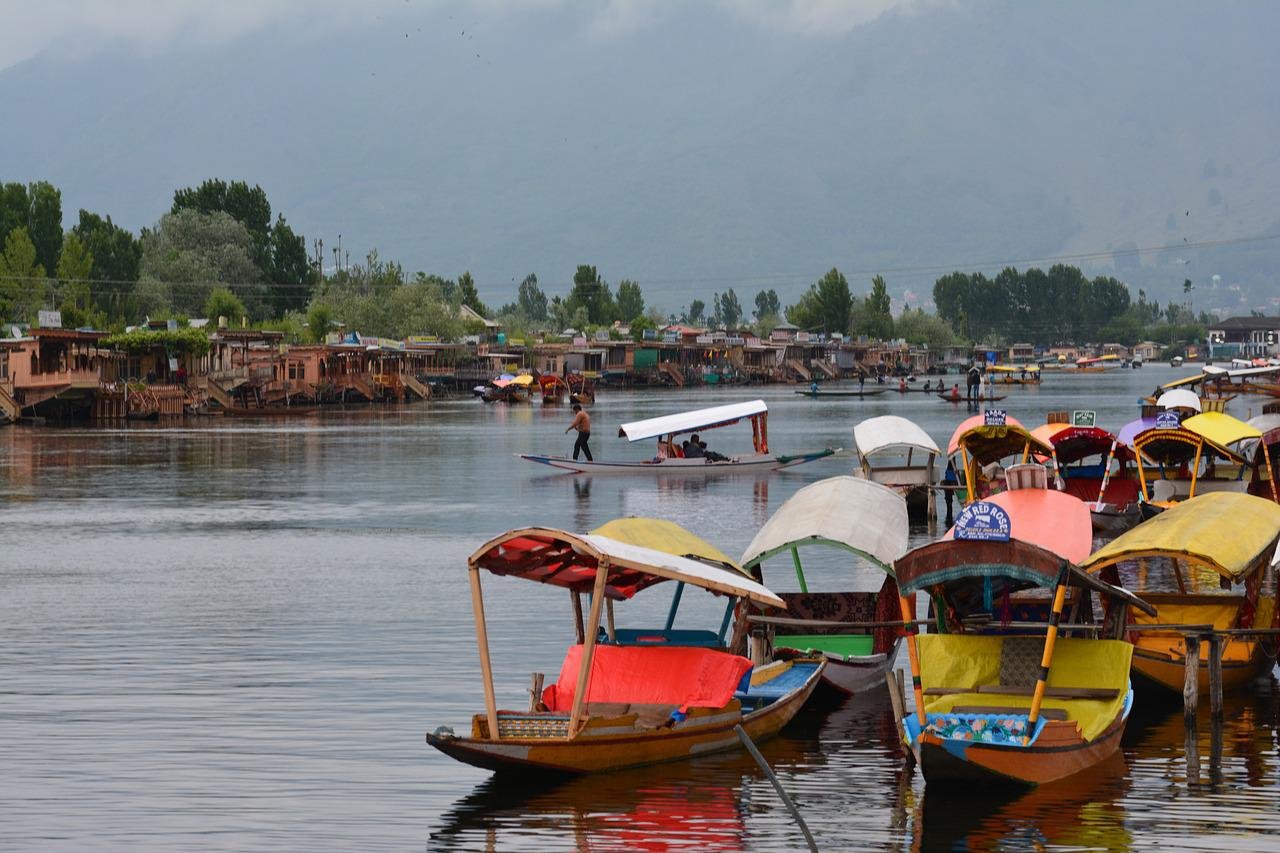 srinagar, india, kashmir-3609032.jpg